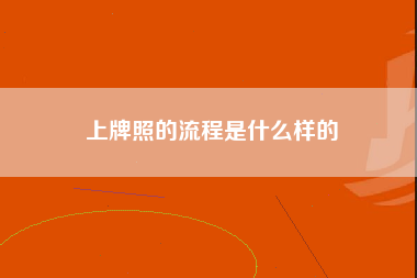 上牌照的流程是什么样的