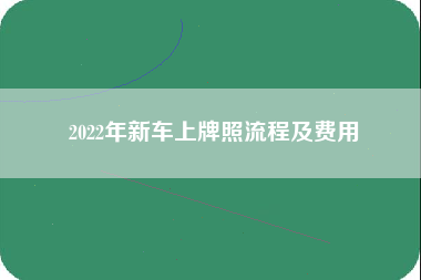 2022年新车上牌照流程及费用