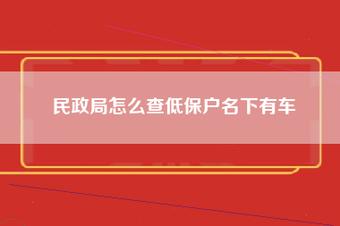 民政局怎么查低保户名下有车