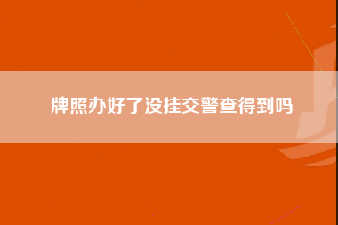 牌照办好了没挂交警查得到吗