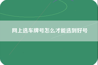 网上选车牌号怎么才能选到好号