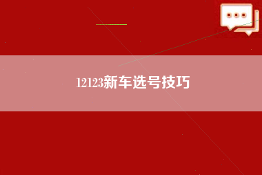 12123新车选号技巧