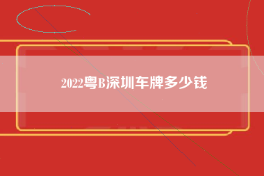 2022粤B深圳车牌多少钱