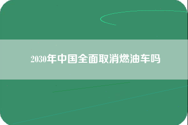 2030年中国全面取消燃油车吗