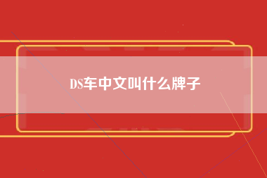 DS车中文叫什么牌子