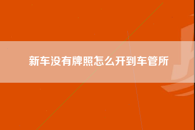 新车没有牌照怎么开到车管所