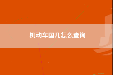 机动车国几怎么查询