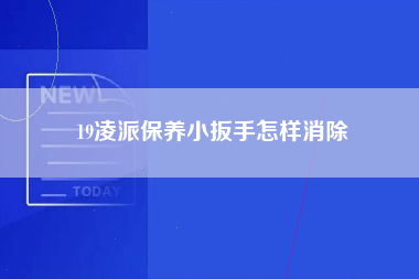 19凌派保养小扳手怎样消除