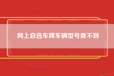 网上自选车牌车辆型号查不到