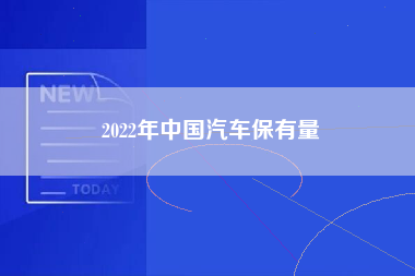 2022年中国汽车保有量