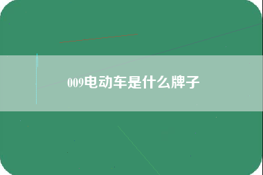 009电动车是什么牌子