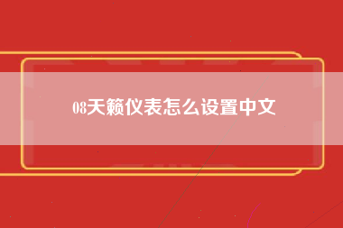 08天籁仪表怎么设置中文