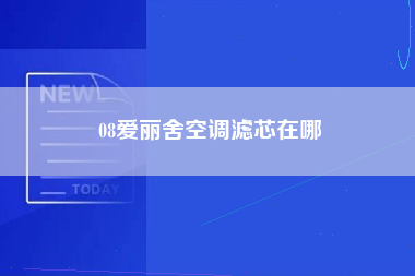 08爱丽舍空调滤芯在哪