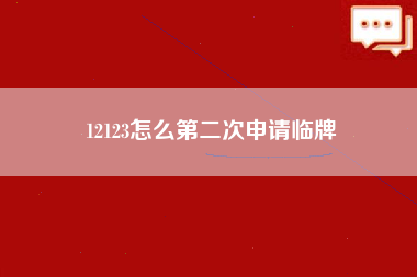 12123怎么第二次申请临牌