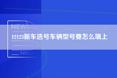 12123新车选号车辆型号要怎么填上