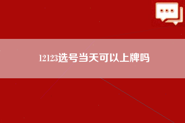 12123选号当天可以上牌吗