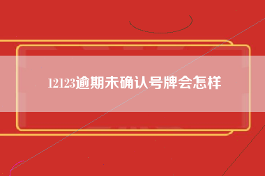 12123逾期未确认号牌会怎样