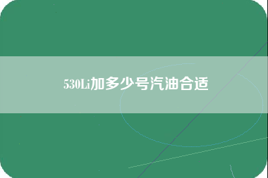 530Li加多少号汽油合适