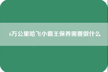 6万公里哈飞小霸王保养需要做什么