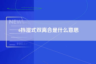 6挡湿式双离合是什么意思