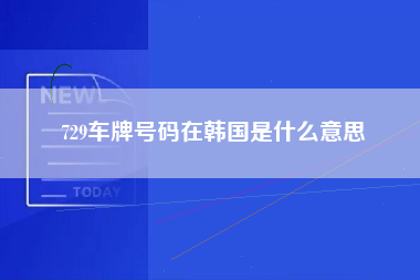 729车牌号码在韩国是什么意思