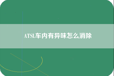 ATSL车内有异味怎么消除