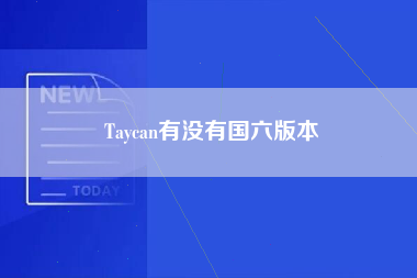 Taycan有没有国六版本