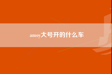 amoy大号开的什么车