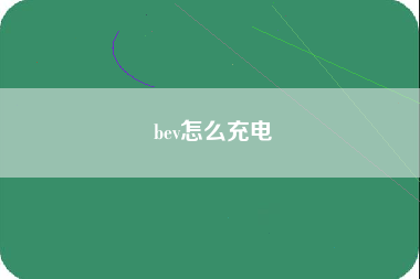 bev怎么充电