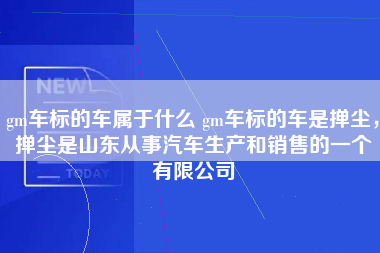 gm车标的车属于什么 gm车标的车是掸尘，掸尘是山东从事汽车生产和销售的一个有限公司