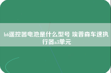 h6遥控器电池是什么型号 埃普森车速执行器a3单元