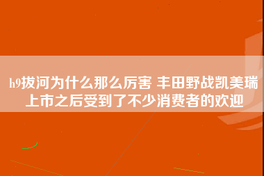 h9拔河为什么那么厉害 丰田野战凯美瑞上市之后受到了不少消费者的欢迎