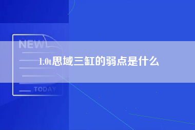 1.0t思域三缸的弱点是什么