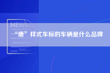 “唐”样式车标的车辆是什么品牌