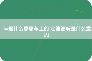 lim是什么意思车上的 定速巡航是什么意思