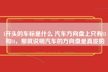 l开头的车标是什么 汽车方向盘上只有l3和l4，那就说明汽车的方向盘是真皮的