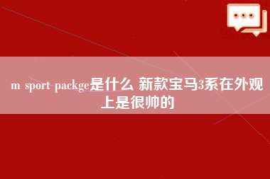 m sport packge是什么 新款宝马3系在外观上是很帅的