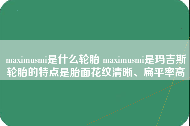 maximusmi是什么轮胎 maximusmi是玛吉斯轮胎的特点是胎面花纹清晰、扁平率高