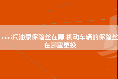 mini汽油泵保险丝在哪 机动车辆的保险丝在哪里更换