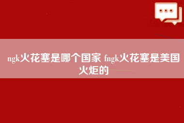 ngk火花塞是哪个国家 fngk火花塞是美国火炬的