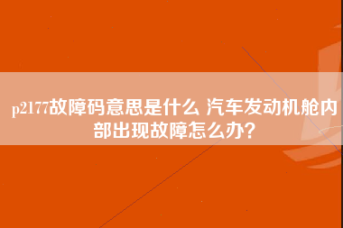 p2177故障码意思是什么 汽车发动机舱内部出现故障怎么办？