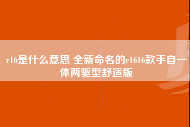 r16是什么意思 全新命名的r1616款手自一体两驱型舒适版