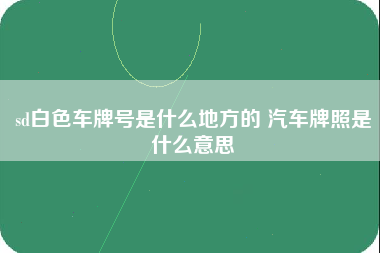 sd白色车牌号是什么地方的 汽车牌照是什么意思