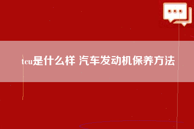 tcu是什么样 汽车发动机保养方法