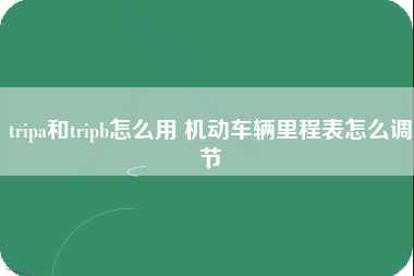 tripa和tripb怎么用 机动车辆里程表怎么调节