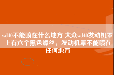 wd40不能喷在什么地方 大众wd40发动机罩上有六个黑色螺丝，发动机罩不能喷在任何地方