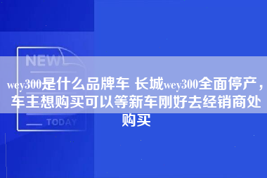 wey300是什么品牌车 长城wey300全面停产，车主想购买可以等新车刚好去经销商处购买