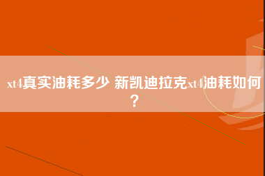 xt4真实油耗多少 新凯迪拉克xt4油耗如何？