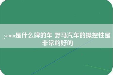 yema是什么牌的车 野马汽车的操控性是非常的好的