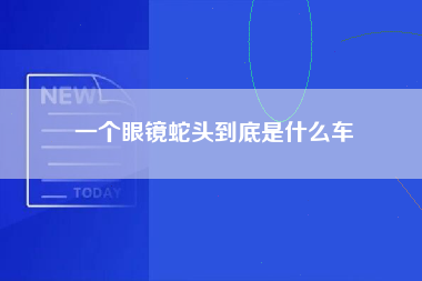 一个眼镜蛇头到底是什么车